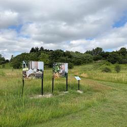 Art Location